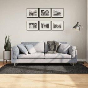 ISTAN anthrazitfarbener Langhaar-Teppich in glänzender Optik, 100 x 200 cm von , Teppiche - Ref: Foro24-375639, Preis: 43,94 ...