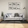 ISTAN anthrazitfarbener Langhaar-Teppich in glänzender Optik, 100 x 200 cm von , Teppiche - Ref: Foro24-375639, Preis: 43,44 ...