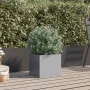Jardinera de acero galvanizado plateado 32x30x29 cm de , Maceteros y jardineras - Ref: Foro24-841545, Precio: 31,57 €, Descue...