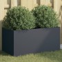 Anthracite cold rolled steel planter 62x30x29 cm by , Pots and planters - Ref: Foro24-841591, Price: 52,59 €, Discount: %