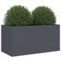 Pflanzgefäß aus kaltgewalztem Stahl in Anthrazit, 62 x 30 x 29 cm von , Töpfe und Pflanzgefäße - Ref: Foro24-841591, Preis: 5...