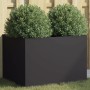 Schwarzer Pflanzkasten aus kaltgewalztem Stahl, 62 x 47 x 46 cm von , Töpfe und Pflanzgefäße - Ref: Foro24-841601, Preis: 71,...
