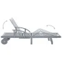 Tumbona de jardín de madera de acacia maciza gris de vidaXL, Tumbonas - Ref: Foro24-45939, Precio: 172,56 €, Descuento: %