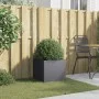 Jardinera de acero laminado en frío antracita 42x40x39 cm de , Maceteros y jardineras - Ref: Foro24-841551, Precio: 49,88 €, ...