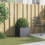 Jardinera de acero laminado en frío antracita 42x40x39 cm de , Maceteros y jardineras - Ref: Foro24-841551, Precio: 51,92 €, ...