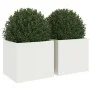 Jardineras 2 unidades acero blanco 32x30x29 cm by , Pots and planters - Ref: Foro24-841538, Price: 62,69 €, Discount: %