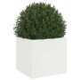 Jardinera de acero laminado en frío blanco 32x30x29 cm de , Maceteros y jardineras - Ref: Foro24-841537, Precio: 44,81 €, Des...