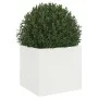 Kaltgewalztes Stahl-Pflanzgefäß weiß 32x30x29 cm von , Töpfe und Pflanzgefäße - Ref: Foro24-841537, Preis: 43,79 €, Rabatt: %