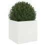 Cold-rolled white steel planter 49x47x46 cm by , Pots and planters - Ref: Foro24-841561, Price: 56,70 €, Discount: %