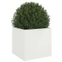 Kaltgewalztes Stahl-Pflanzgefäß weiß 49x47x46 cm von , Töpfe und Pflanzgefäße - Ref: Foro24-841561, Preis: 57,68 €, Rabatt: %