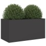Pflanzkübel aus kaltgewalztem Stahl in Schwarz 62x30x29 cm von , Töpfe und Pflanzgefäße - Ref: Foro24-841589, Preis: 56,80 €,...