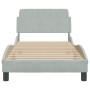 Hellgrauer Samtbettrahmen mit Kopfteil 80x200 cm von , Betten und Lattenroste - Ref: Foro24-373072, Preis: 109,03 €, Rabatt: %