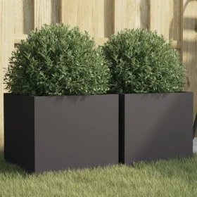 Jardineras 2 unidades acero laminado en frío negro 32x30x29 cm de , Maceteros y jardineras - Ref: Foro24-841536, Precio: 65,6...