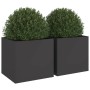 Pflanzgefäße 2 Einheiten aus schwarzem kaltgewalztem Stahl 49x47x46 cm von , Töpfe und Pflanzgefäße - Ref: Foro24-841560, Pre...