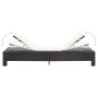 Sun lounger with black synthetic rattan cushion by vidaXL, Loungers - Ref: Foro24-46234, Price: 151,27 €, Discount: %