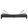 Tumbona con cojín de ratán sintético negro de vidaXL, Tumbonas - Ref: Foro24-46234, Precio: 149,29 €, Descuento: %