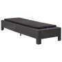 Tumbona con cojín de ratán sintético negro de vidaXL, Tumbonas - Ref: Foro24-46237, Precio: 167,51 €, Descuento: %