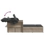 Double sun lounger with hood and light gray synthetic rattan cushions by , Loungers - Ref: Foro24-365812, Price: 339,61 €, Di...