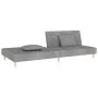 Sofá cama de 2 plazas con dos almohadas tela gris claro de , Sofás - Ref: Foro24-375887, Precio: 248,76 €, Descuento: %
