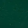 Lona verde 3,5x5 m 650 g/m² de , Lonas impermeables - Ref: Foro24-156145, Precio: 84,76 €, Descuento: %