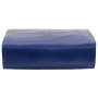 Lona azul 3x4 m 650 g/m² de , Lonas impermeables - Ref: Foro24-156157, Precio: 66,43 €, Descuento: %