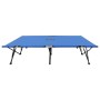 Tumbona doble plegable acero azul de vidaXL, Tumbonas - Ref: Foro24-47759, Precio: 105,34 €, Descuento: %