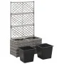 Trellis and flowerbed 2 pots gray synthetic rattan 58x30x107 cm by vidaXL, Pots and planters - Ref: Foro24-46934, Price: 94,8...