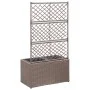 Trellis and flowerbed 2 pots brown synthetic rattan 58x30x107cm by vidaXL, Pots and planters - Ref: Foro24-46937, Price: 93,4...