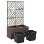 Trellis and flowerbed 2 pots brown synthetic rattan 58x30x107cm by vidaXL, Pots and planters - Ref: Foro24-46937, Price: 93,4...