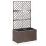 Trellis and flowerbed 2 pots brown synthetic rattan 58x30x107cm by vidaXL, Pots and planters - Ref: Foro24-46937, Price: 93,4...