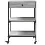 Sonoma grauer Küchenwagen aus Holzwerkstoff, 60 x 48 x 89,5 cm von , Küchen- und Speisewagen - Ref: Foro24-842374, Preis: 79,...