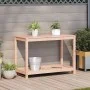 Douglas solid wood planting table and shelf 108x50x75 cm by , Pot stands - Ref: Foro24-832405, Price: 91,00 €, Discount: %
