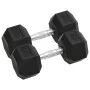 Mancuernas 2 unidades hierro fundido 30 kg de , Peso libre - Ref: Foro24-93606, Precio: 129,14 €, Descuento: %