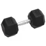 Mancuernas 2 unidades hierro fundido 30 kg de , Peso libre - Ref: Foro24-93606, Precio: 129,14 €, Descuento: %