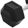Mancuernas 2 unidades hierro fundido 30 kg de , Peso libre - Ref: Foro24-93606, Precio: 129,14 €, Descuento: %