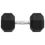 Mancuerna hierro fundido 25 kg de , Peso libre - Ref: Foro24-93610, Precio: 106,08 €, Descuento: %