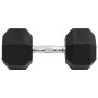 Mancuerna hierro fundido 25 kg de , Peso libre - Ref: Foro24-93610, Precio: 90,18 €, Descuento: %