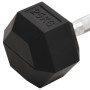 Mancuerna hierro fundido 25 kg de , Peso libre - Ref: Foro24-93610, Precio: 106,08 €, Descuento: %