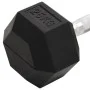 Mancuerna hierro fundido 25 kg de , Peso libre - Ref: Foro24-93610, Precio: 90,18 €, Descuento: %