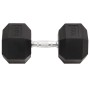 Mancuerna hierro fundido 30 kg de , Peso libre - Ref: Foro24-93612, Precio: 123,66 €, Descuento: %