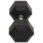 Hantel aus Gusseisen 30 kg von , freies Gewicht - Ref: Foro24-93612, Preis: 105,20 €, Rabatt: %