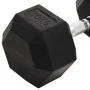 Hantel aus Gusseisen 30 kg von , freies Gewicht - Ref: Foro24-93612, Preis: 105,20 €, Rabatt: %