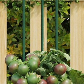 Tutores para plantas de jardín 30 unidades acero verde 115 cm