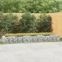 Arriate de gaviones forma arco hierro galvanizado 400x100x50 cm de , Maceteros y jardineras - Ref: Foro24-153551, Precio: 105...