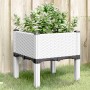 Pflanzgefäß aus weißem PP mit Beinen 40x40x42 cm von , Töpfe und Pflanzgefäße - Ref: Foro24-367889, Preis: 36,80 €, Rabatt: %