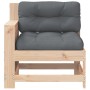 Gartensofa mit Armlehnen und Kissen aus massivem Kiefernholz von , Outdoor-Sofas - Ref: Foro24-844920, Preis: 92,03 €, Rabatt: %