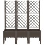 Pflanzgefäß mit braunem PP-Gitter 120x40x142 cm von , Töpfe und Pflanzgefäße - Ref: Foro24-367930, Preis: 118,52 €, Rabatt: %