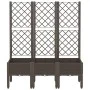 Planter with brown PP trellis 120x40x142 cm by , Pots and planters - Ref: Foro24-367930, Price: 116,26 €, Discount: %
