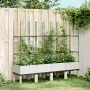 Pflanzgefäß mit weißem PP-Gitter 160x40x142,5 cm von , Töpfe und Pflanzgefäße - Ref: Foro24-367964, Preis: 73,65 €, Rabatt: %