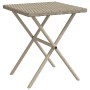 Sonnenliegen mit Tisch 2 Einheiten hellgraues synthetisches Rattan von , Liegen - Ref: Foro24-368256, Preis: 158,04 €, Rabatt: %